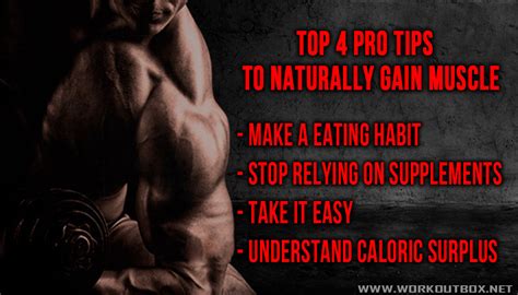 Top 4 Pro Tips To Naturally Gain Muscle Fitness Workouts And Exercises