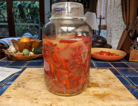 Batch 20 Hot Sauce Progress Entry 5 Sage S Acre Organic Home Gardens