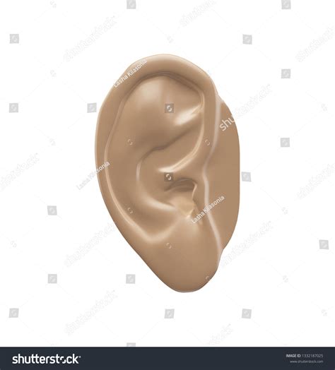 3d Human Ear Isolated On White Stock Illustration 1332187025 Shutterstock