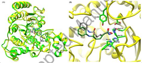 A Superimposition Of Crystal Structures Of HDAC1 4BKX Yellow