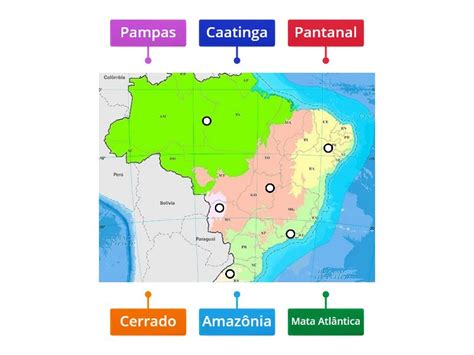 Biomas Brasileiros Fase Labelled Diagram