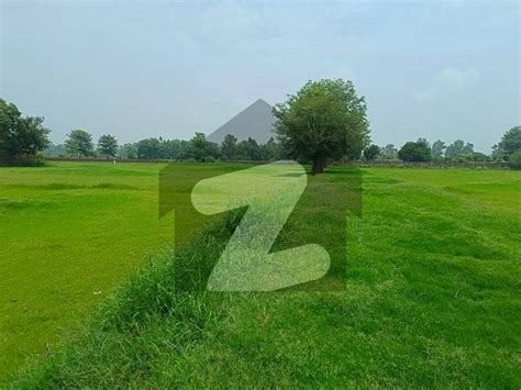 Kanal Farm House Land For Sale Dha Phase Dha Defence Lahore