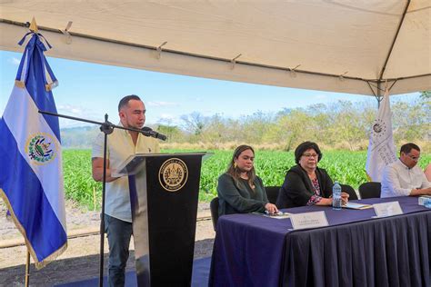 Ministerio De Agricultura Y Ganadería 🇸🇻 On Twitter “todos Los Insumos Que Entreguemos En