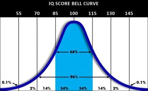 Free Iq Test Fast Loperseuro