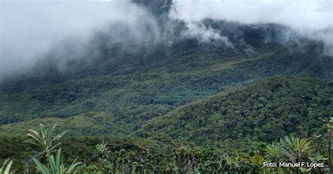 Parque Nacional Natural Tam Parques Nacionales Naturales De Colombia