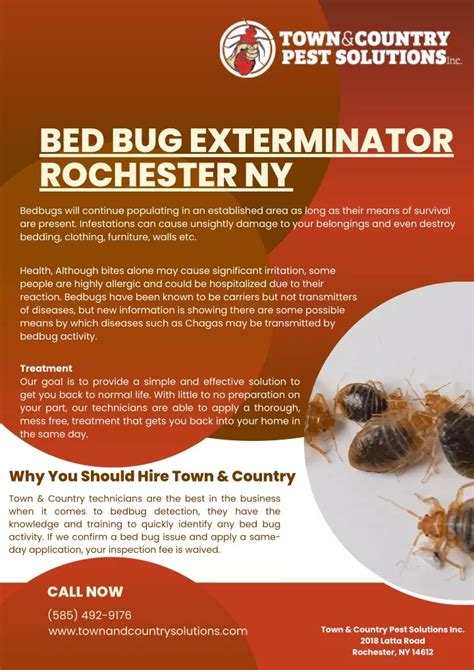 Ppt Bed Bug Exterminator Rochester Ny Powerpoint Presentation Free Download Id 11513973