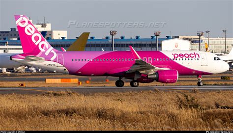 Ja Va Peach Airbus A Wl Photo By Omgcat Id