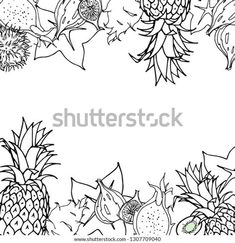 Vector Tropical Exotic Fruits Made Black Stock Vector Royalty Free