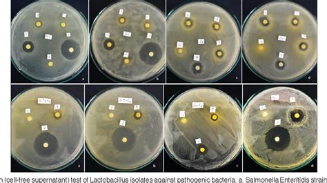 Figure From Analysis And Characterization Of Potential Probiotic