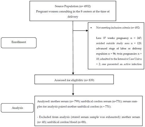 Vaccines Free Full Text Seroprevalence Of Varicella In Pregnant