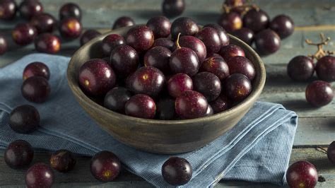 Locally Grown Muscadine Grapes Find Georgia Grown Grapes Near You