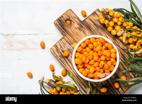 Buckthorn Top Hi Res Stock Photography And Images Alamy