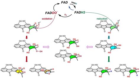 Flavin chemistry in epoxide ring opening reactions | Chemistry Community