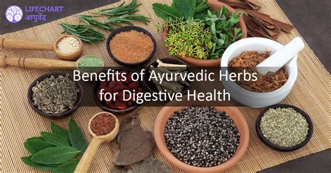 Benefits of Ayurvedic Herbs for Digestive Health - LifeChart Ayurveda ...