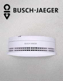 Busch Jaeger System Access Point 6200 AP 1er 249 21