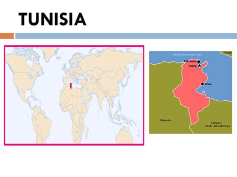 The Arab Spring Which Country Took The Lead Of The Arab Spring