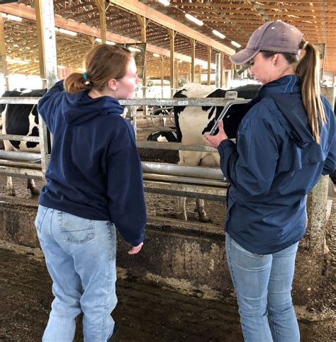 Adopt A Cow” Program Gives Students An Inside Look At Dairy Farming