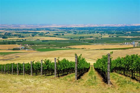 How Far To Walla Walla Washington At Lindsey Hansen Blog