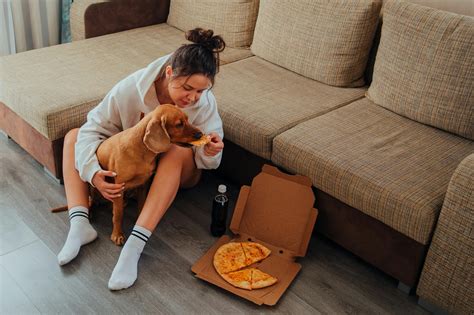 Female owner playing with dog at home · Free Stock Photo