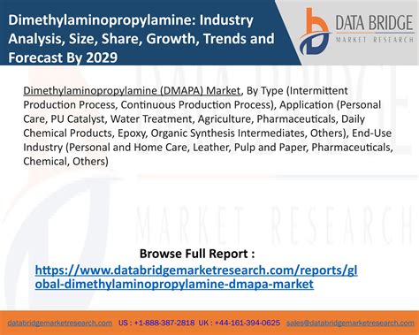 Dimethylaminopropylamine DMAPA Market Industry Trends And Forecast