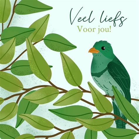 Wenskaart Veel Liefs Voor Jou Met Vogel Kaartje2go