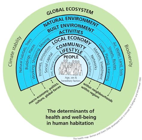 The Ecological Model