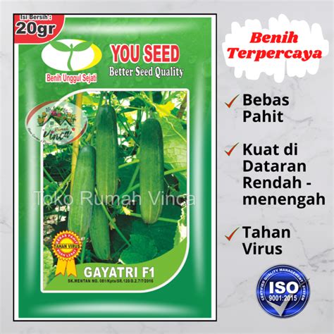 Benih Bibit Timun Lalap Tahan Virus Gayatri F G Butir You Seed