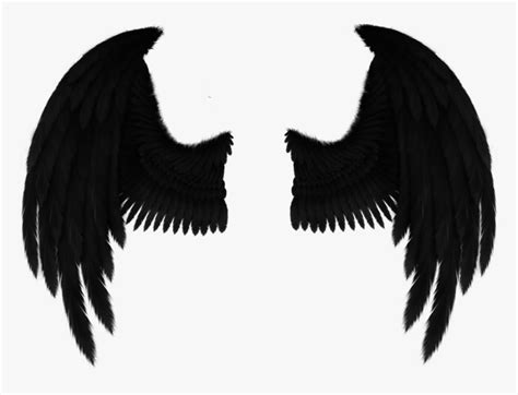 Fallen Angel Black Wings Png - 375 transparent png illustrations and ...