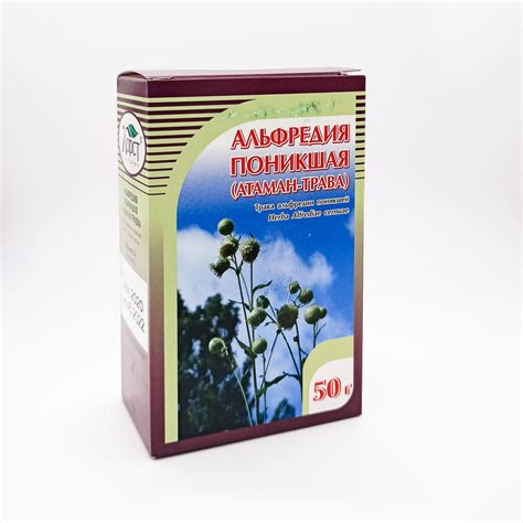 Альфредия поникшая