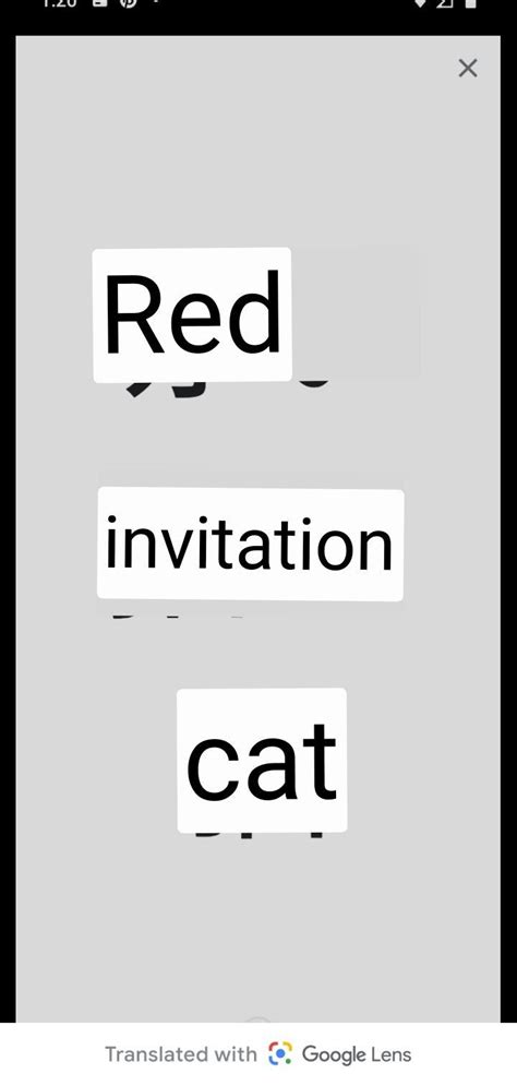 An Image Of Red And White Text On A Gray Background With The Caption Cat