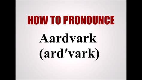 How To Pronounce Aardvark Youtube