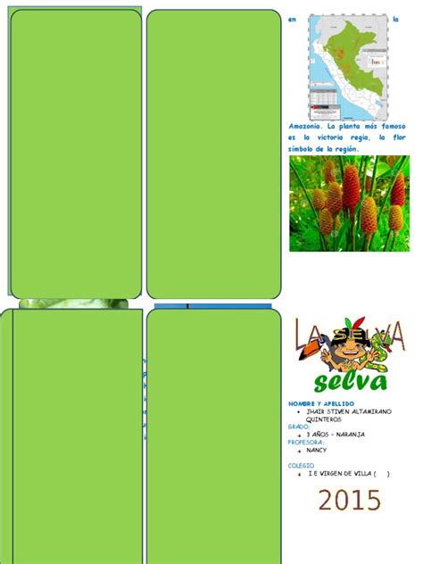 PDF TRIPTICO De La Selva Docx DOKUMEN TIPS