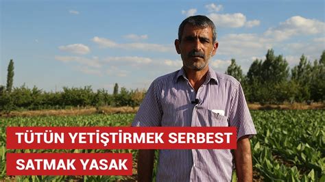 T T N Yeti Tirmek Serbest Satmak Yasak Youtube