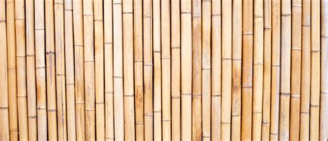 Premium Photo Yellow Bamboo Texture Dried Bamboo Wall Or Fence Background