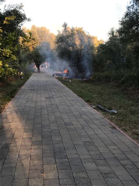 Rosarno Incendio Doloso Nel Parco Archeologico Di Medma Vasta L Area