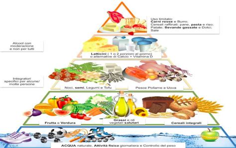 I Principi Nutritivi E La Piramide Alimentare Riconnessioni