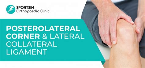 Posterolateral Corner PLC Lateral Collateral Ligament SportsIn