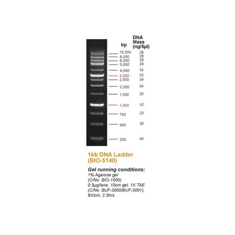 G248 1kb Plus Opti DNA Marker 57 OFF Pinnaxis