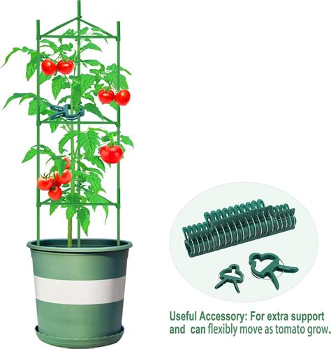 Pack Tomato Cages For Garden Heavy Duty Tomato Cage Plant Supports