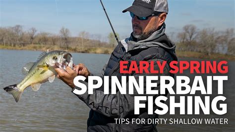 Early Spring Spinnerbait Fishing How To Catch Bass In Dirty Shallow