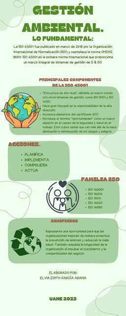 Infografía Gestión Ambiental Elvita Ga Udocz