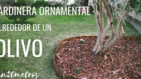 Tipos De Césped Natural Para Jardín Guía Completa Y Consejos Prácticos