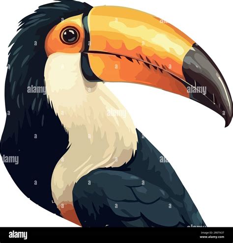 Toucan flying in tropical rainforest colorful beak Stock Vector Image ...