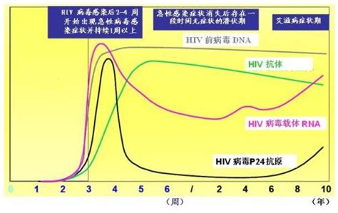 Hiv四代窗口期实现重大突破，准确度更上一层艾滋病检测艾测网