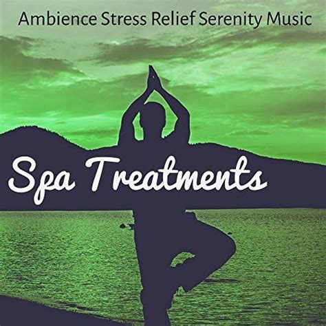 Amazon Music Unlimited Nature Ambience No Stress Ensemble