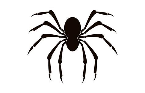 Tarantula Silhouette Vector Art Icons And Graphics For Free Download