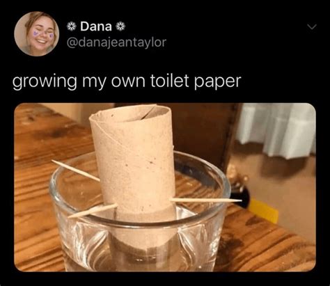 Funny Meme About Growing Your Own Toilet Paper Because Of Toilet Paper