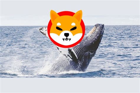 New Whale Accumulates 1 15 Trillion SHIB Exclusively Holding Shiba Inu