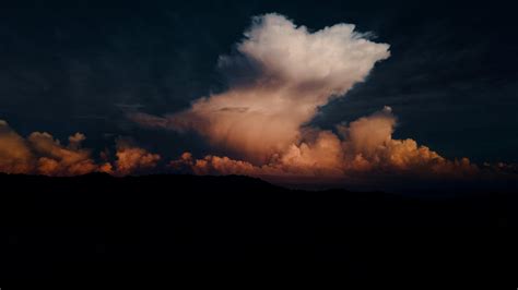 Black Forest Under Cloudy Sky during Sunset · Free Stock Photo