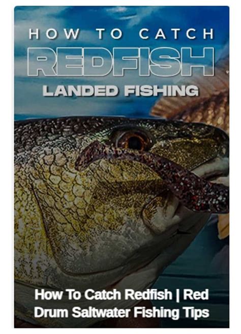 How To Catch Redfish Red Drum In The Gulf Of Mexico